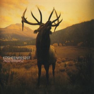 Kosheen
