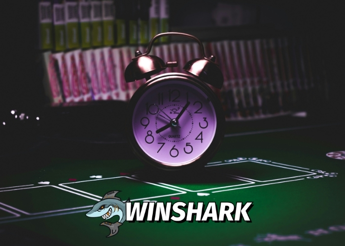 WinShark Casino im DE