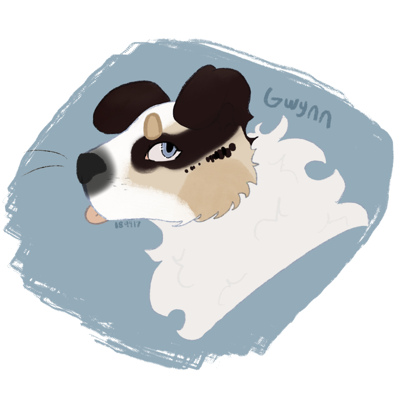 IMG-0213.png