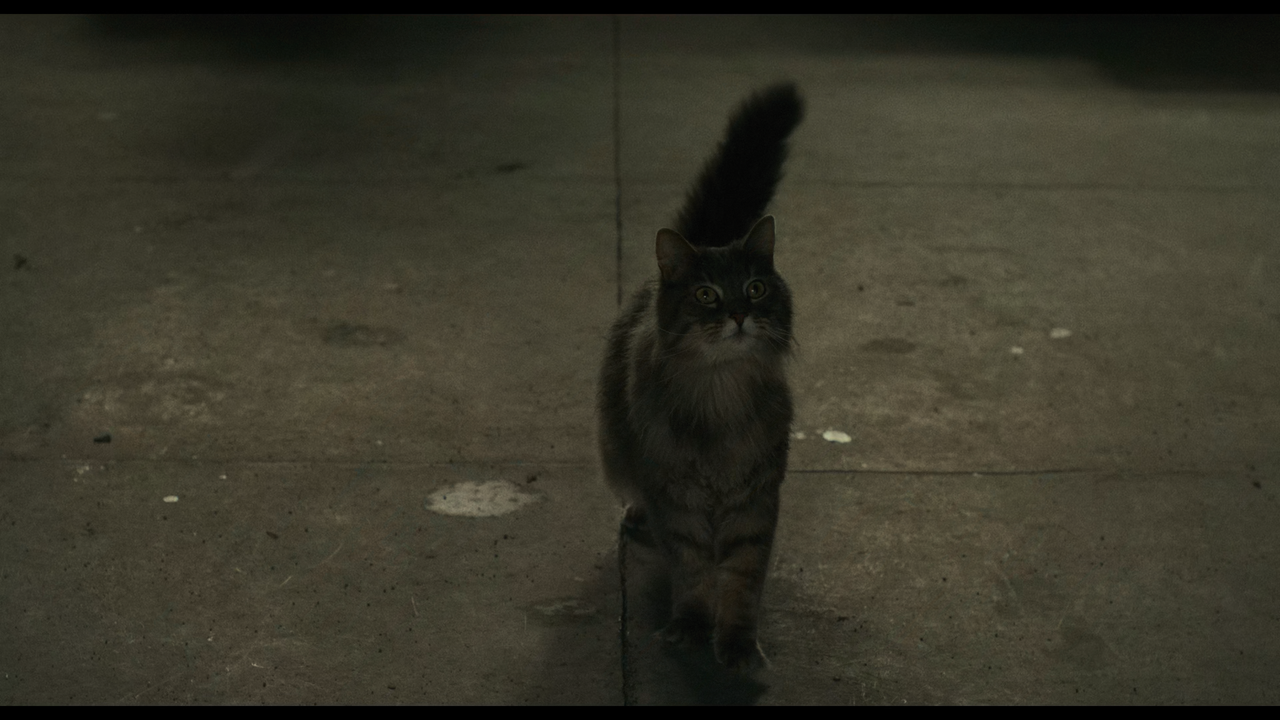 mpv-shot_A.Man.Called.Otto.2022.UHD.2160p.MA.WEB-DL.Hybrid.DV.HDR.HEVC-Нечипорук_01_00_12_0007