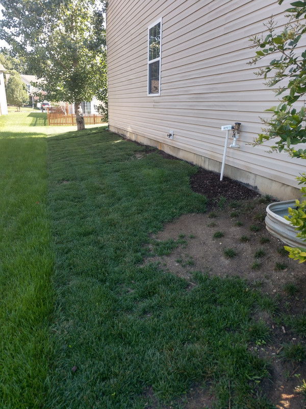 IMG_20180630_180447546_HDR