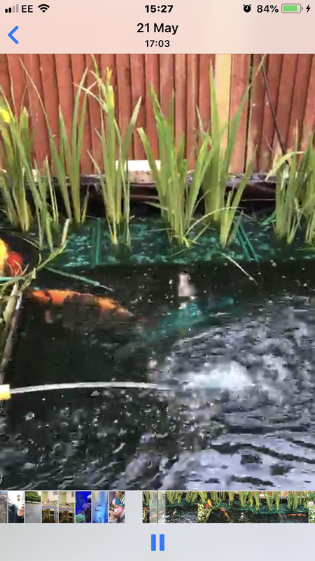 8A7CEC27-9EFB-471E-8C33-8774F5B5A6C8