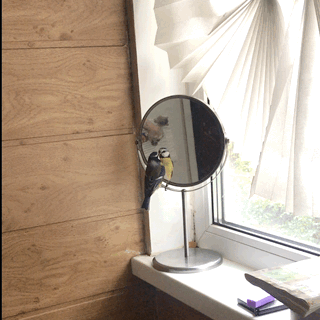 16741702-993-E-4-D93-B59-E-F7-F83-D1-C357-E.gif