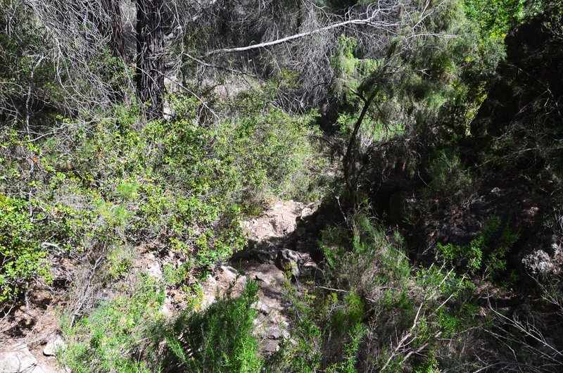 Las Chorreras del Cabriel-8-5-2017 - Cuenca y sus pueblos-2009/2011/2015/2016/2017 (70)