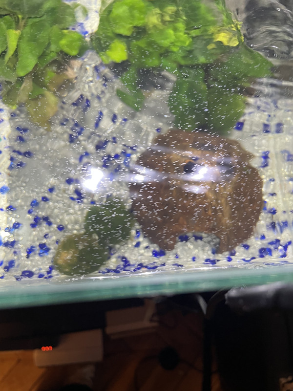 48354E02-70A2-42AC-BAA7-F42D0EC61D24