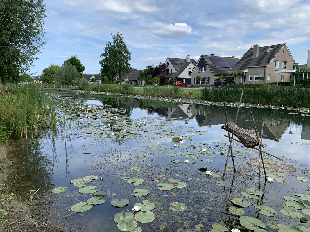 Fotografie