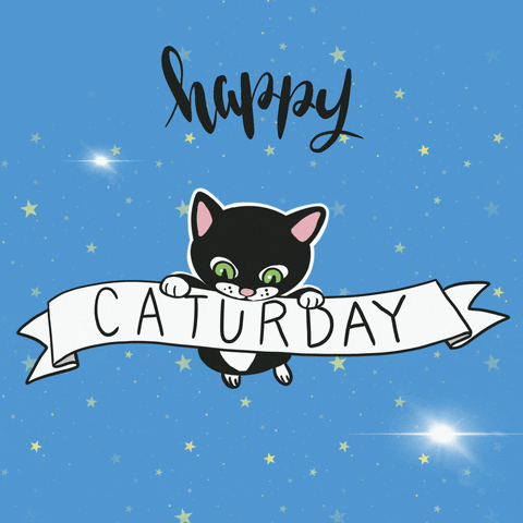 happy-caturday