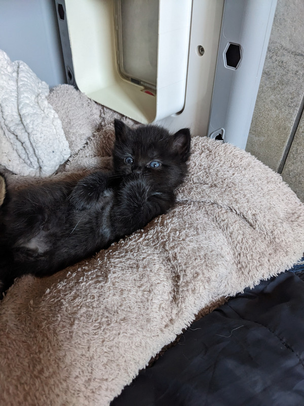 PXL_20230817_114022889