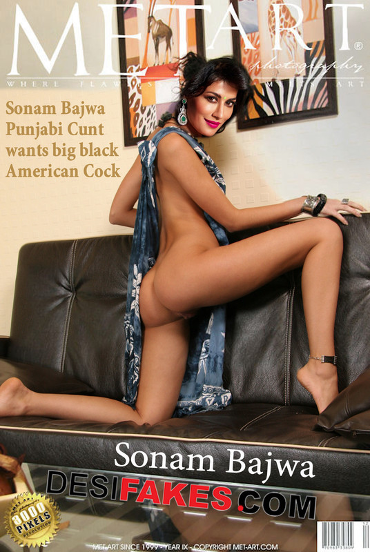 Sonam Bajwa Metart Cover