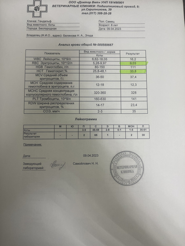 2E4352A7-1366-4485-B2CD-898709853199(1)