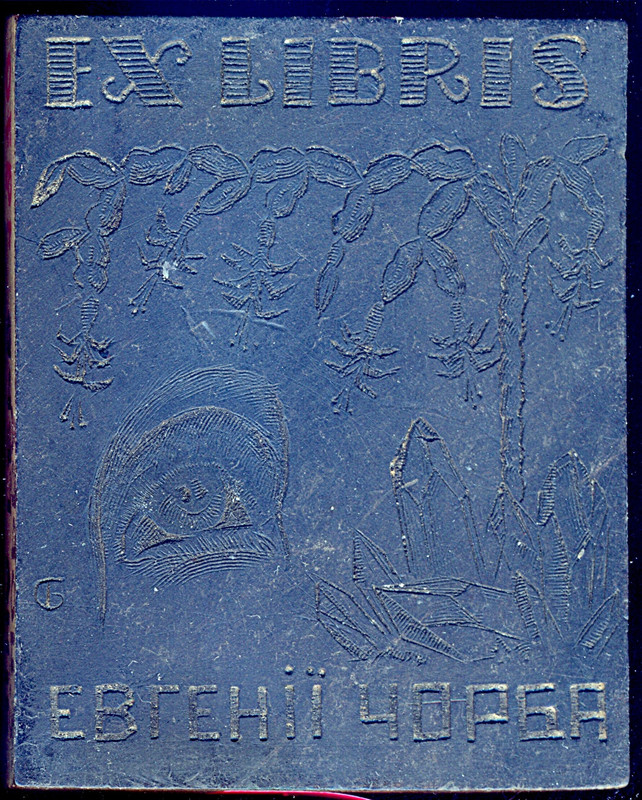 Евгении Чёрба