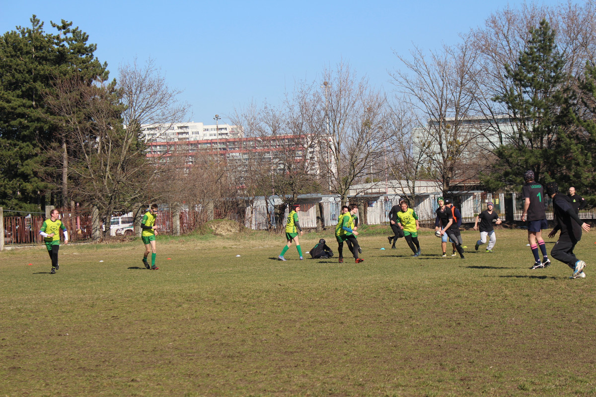 IMG-5175