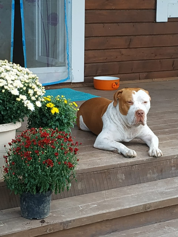 4725E24E-8464-46EB-8590-A29AE69F35C9