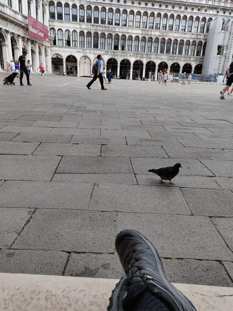 10 días por Eslovenia, Croacia y Bosnia con 3 niños. - Blogs de Europa Oriental - Lunes: Visitamos Venecia (23)