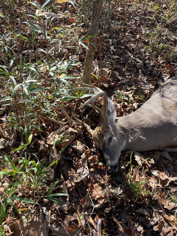 EED0DD42-5035-4026-B059-E1E25488BECF