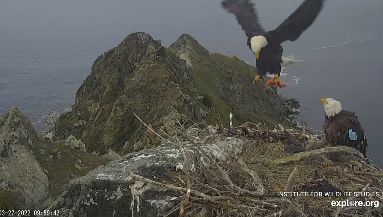 D60D4431-C3C6-41BD-A3F9-AEF4853674B0