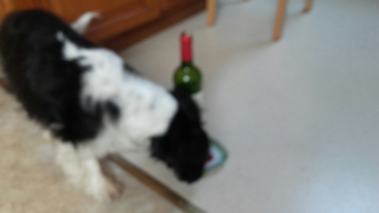 3D92E7FA-A1AA-4F8B-A188-9F45B7C694E2