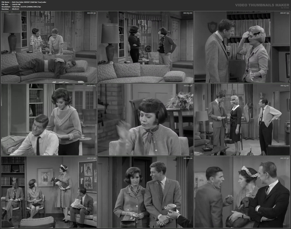Dick Van Dyke S05E07 (Odd But True).mkv