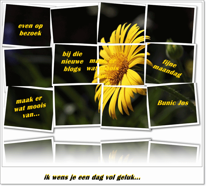welkom opblog Bunic Jos