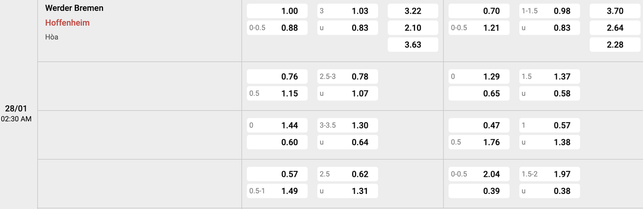 Tỷ lệ kèo Werder Bremen vs Hoffenheim