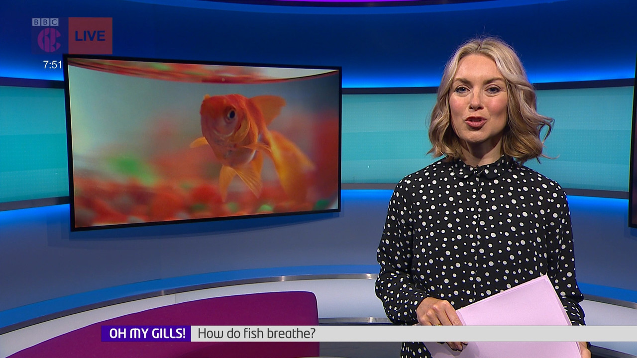 Newsround_20220512_07450800.ts_snapshot_07.31.473