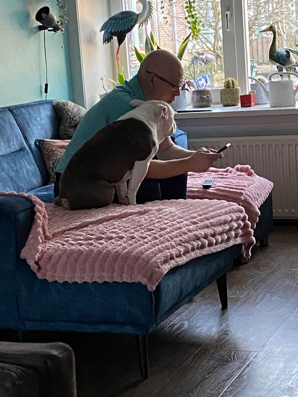 c153d5e7 19d8 41f1 b02b d2695ce379b5