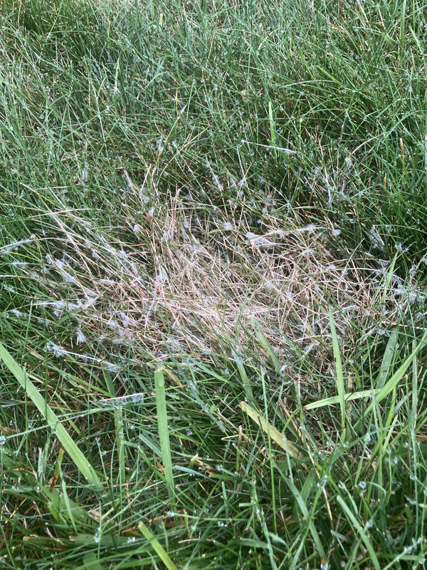 8FCB9CEC-D58C-4A44-BED0-CAF1AE9C5BFD