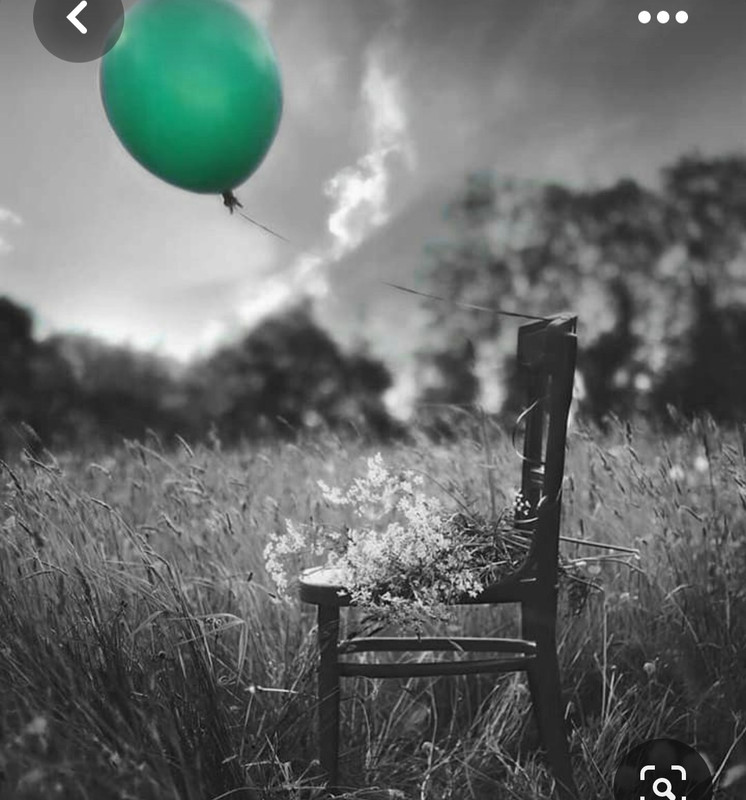 Screenshot_20230409_223246_Pinterest