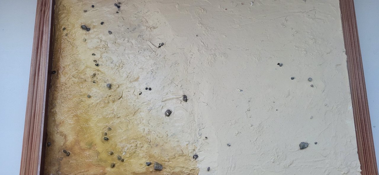 Marion & David in Griechenland ) (42)