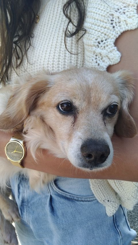 [Image: 121213991-370435584007075-7885788144241817898-n.jpg]