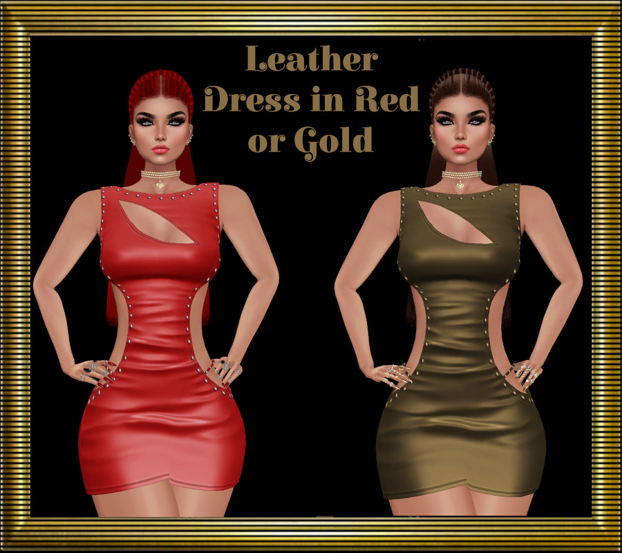 Leather-Dress-Product-Pic