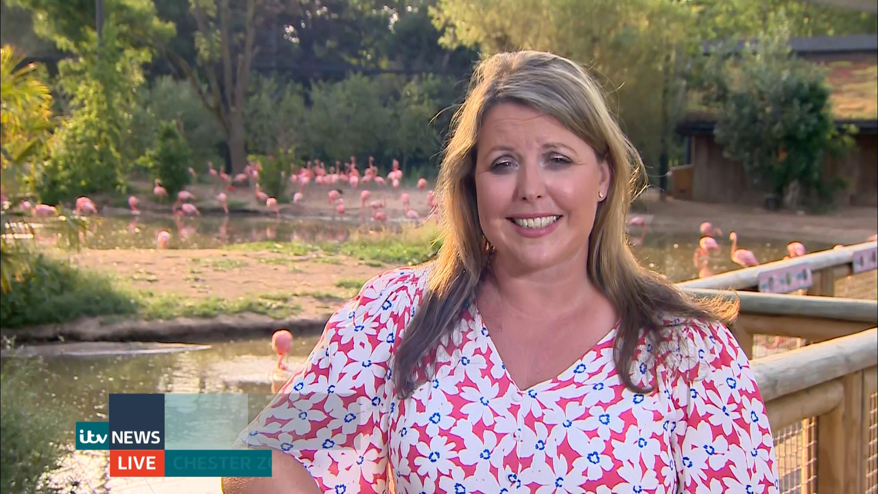 ITV Evening News_20220718_18301930.ts_snapshot_44.03.886