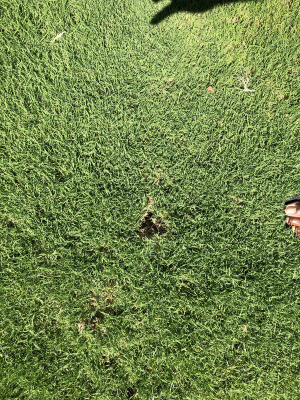 73BC34BF-4968-4F4F-A76E-066E863F788B