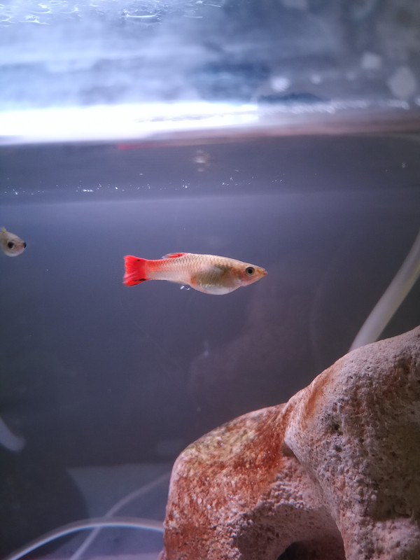 IMG_20240503_171833_447