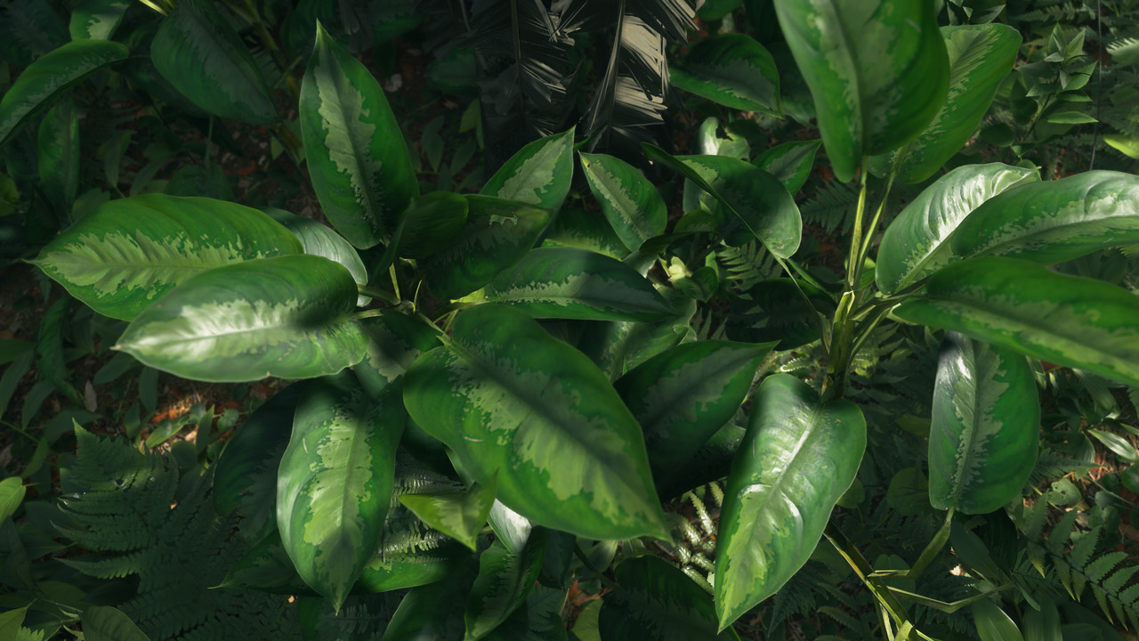 DS2 2026 04 06 15 04 37 644