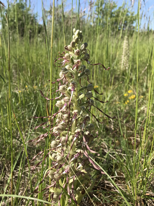 F47D06F6-1140-4EF7-808E-E46A11BA483A