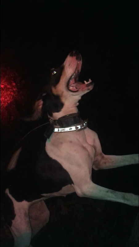 A8A54929-FA0E-4E39-B023-09DDC17A10E6