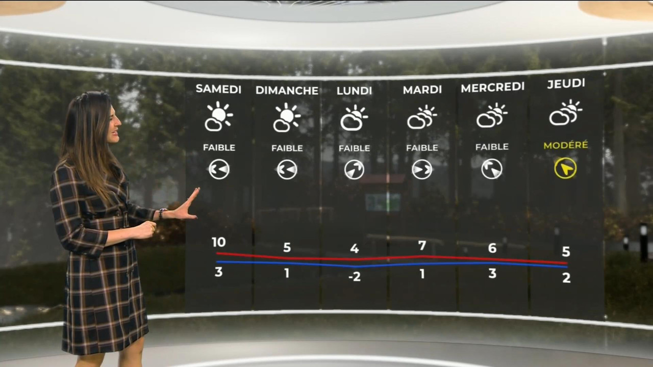 Daniela Prepeliuc 261120.mp4_snapshot_01.59_[2020.11.26_17.23.58]