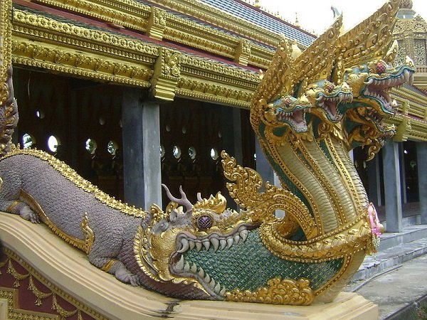 Dragones-3