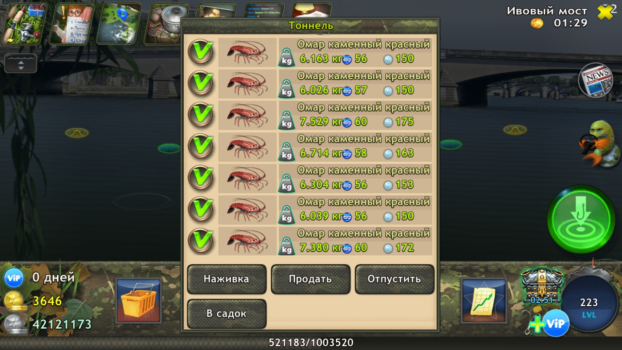 Screenshot_20231215-230020