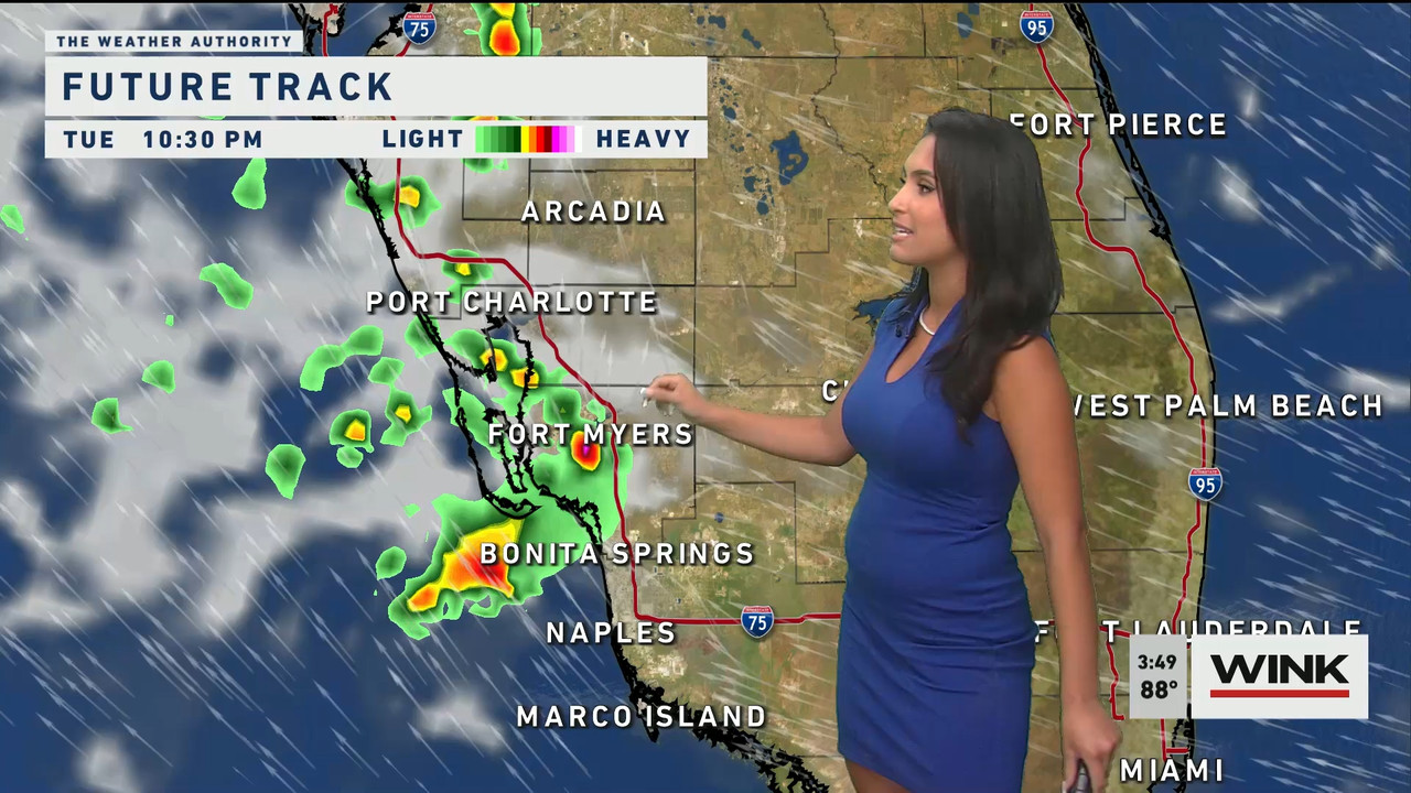 05.24 - 20.00.00 - WINK News at 3 00 p.m._001.ts_snapshot_02.00.091