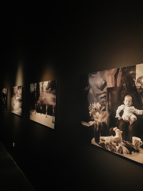 Gallery Image 7