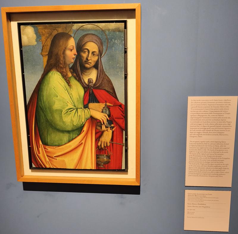 Milán-Turín-Génova-Pavía - Blogs de Italia - Pavía: la famosa batalla y sus torres medievales (77)