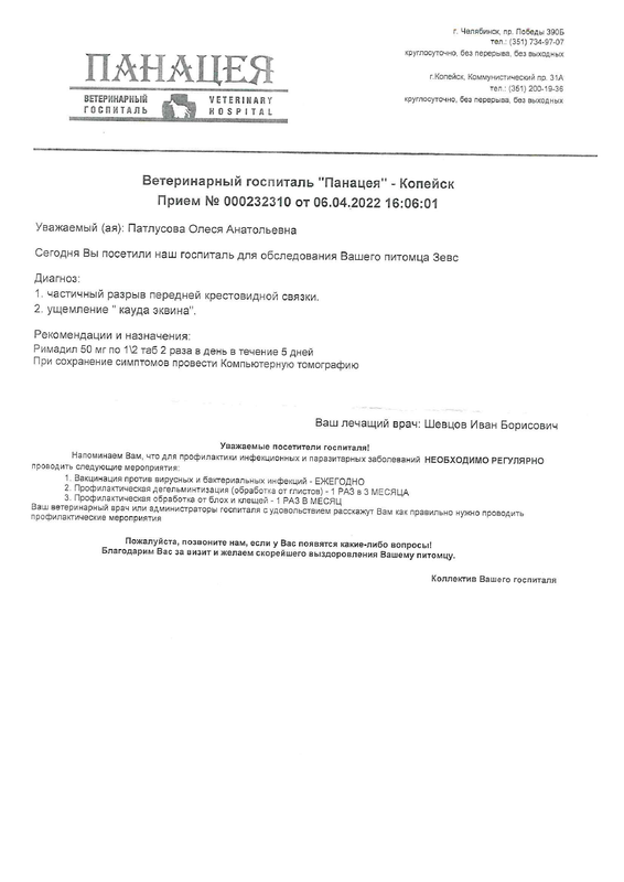 doc03633520230811094119