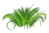 0_1c0bb9_9c5c169_orig