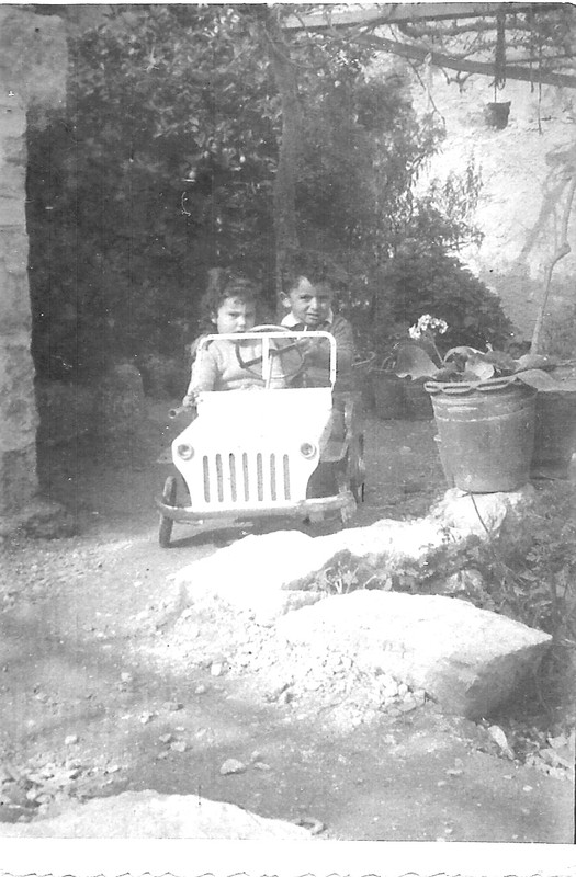 Νικανδρος γκομενα