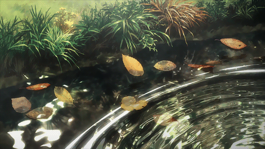 298-D52-C5-35-A2-4626-8-F20-6-B009-D74-ADFF.gif