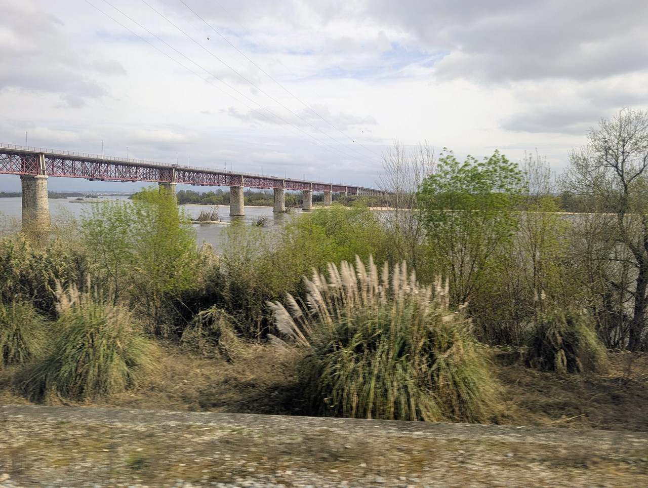 PXL 20260302 133544184 MP 2