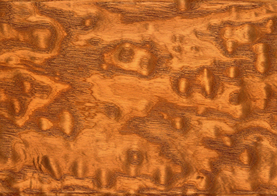 wood-texture-3dsmax (642)