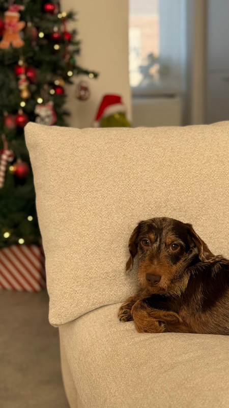 [Image: IMG-20251226-WA0006.jpg]